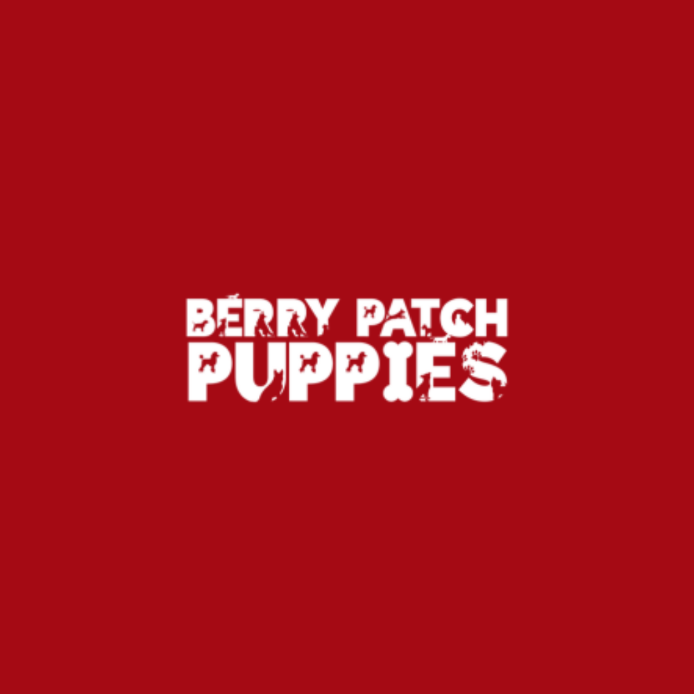 Stud Service Large Berry PAtch Logo